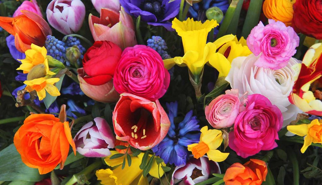 bouquet of brightly colored flowers