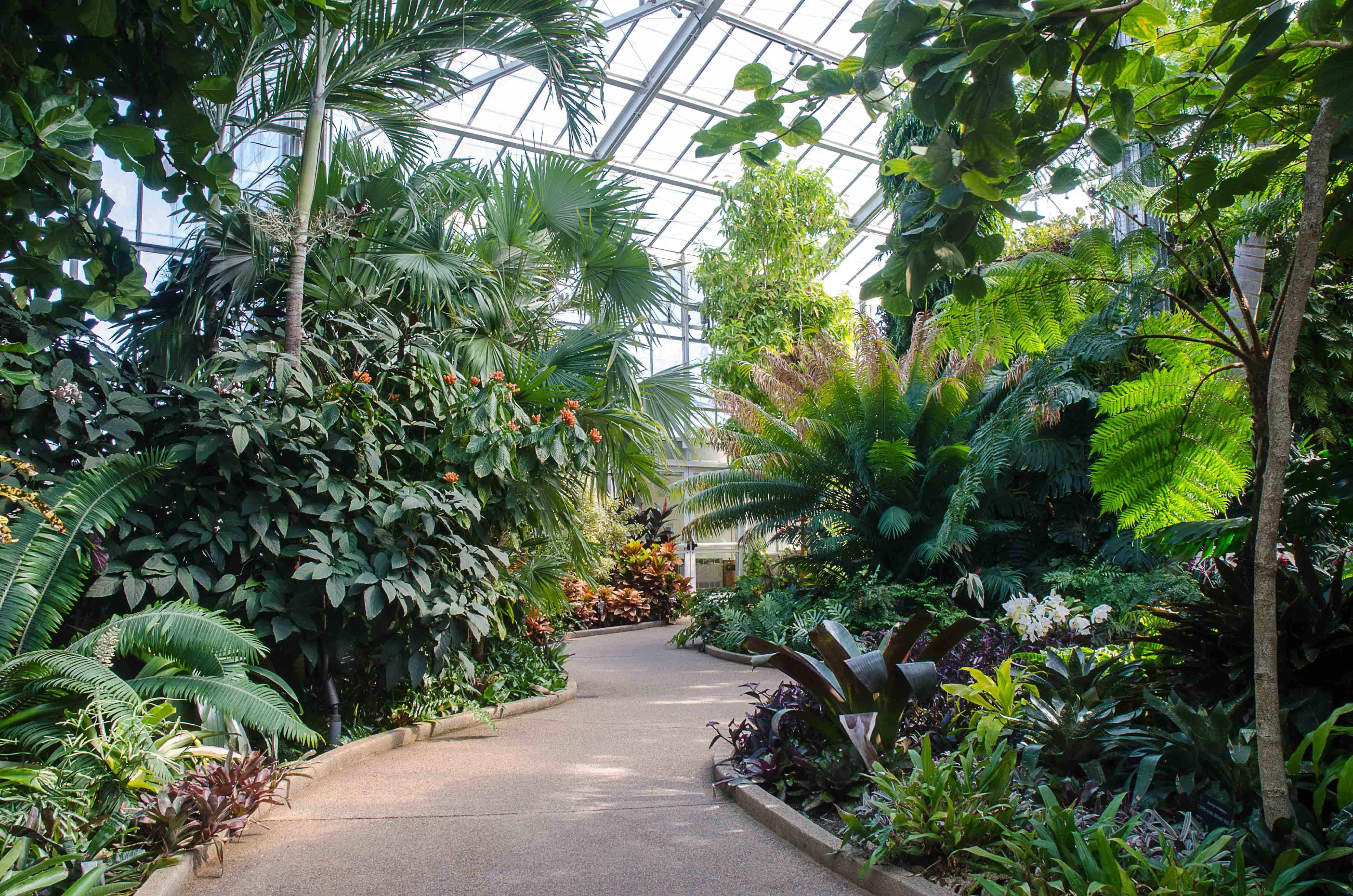 Daniel Stowe Botanical Garden