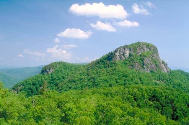 Pisgah National Forest