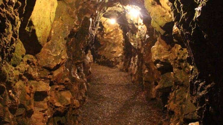 Reed Gold Mine