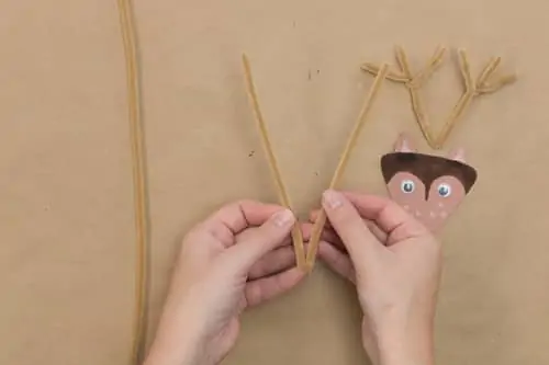 Make Pinecone Crafts and Critters with Lynn Lilly!