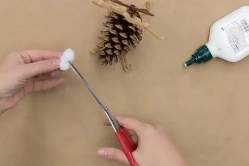 Make Pinecone Crafts and Critters with Lynn Lilly!