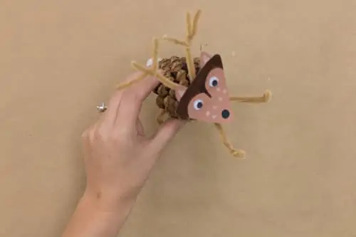 Make Pinecone Crafts and Critters with Lynn Lilly!