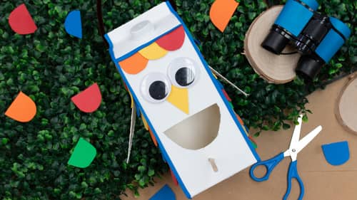 Make Your Own Bird Feeder